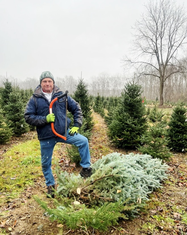 A man holding a saw, standing next to a cut down Christmas tree.